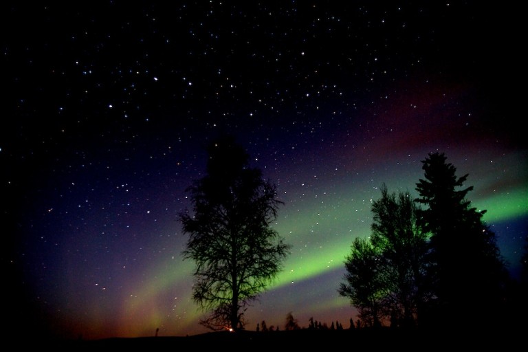 Northern Lights - Avis Alaska