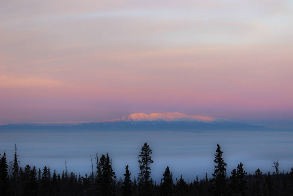 IMG_5369 Avis Alaska