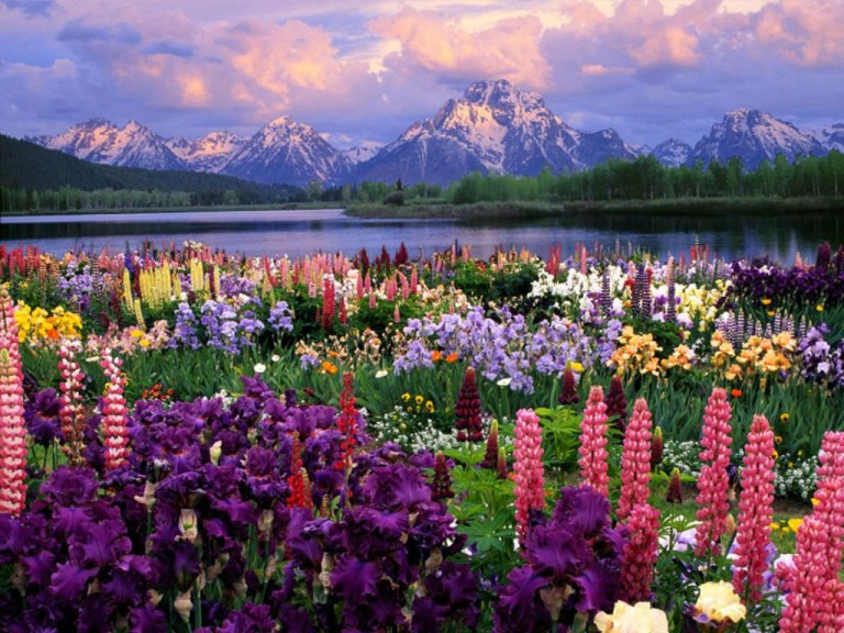 BreathtakingPhotoofSpringinAlaska Avis Alaska
