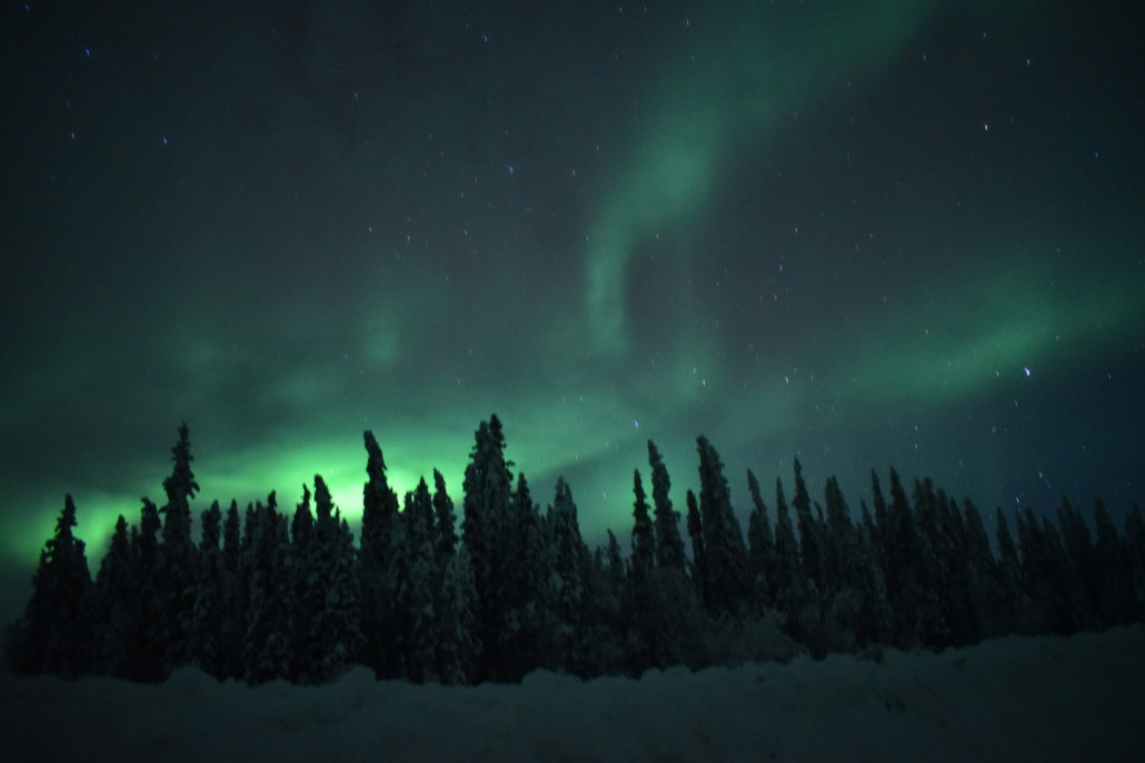 photo of green-colored northern lights over a winter treeline in Alaska