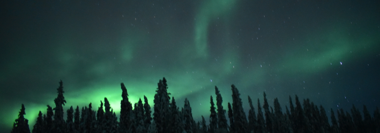 photo of green-colored northern lights over a winter treeline in Alaska