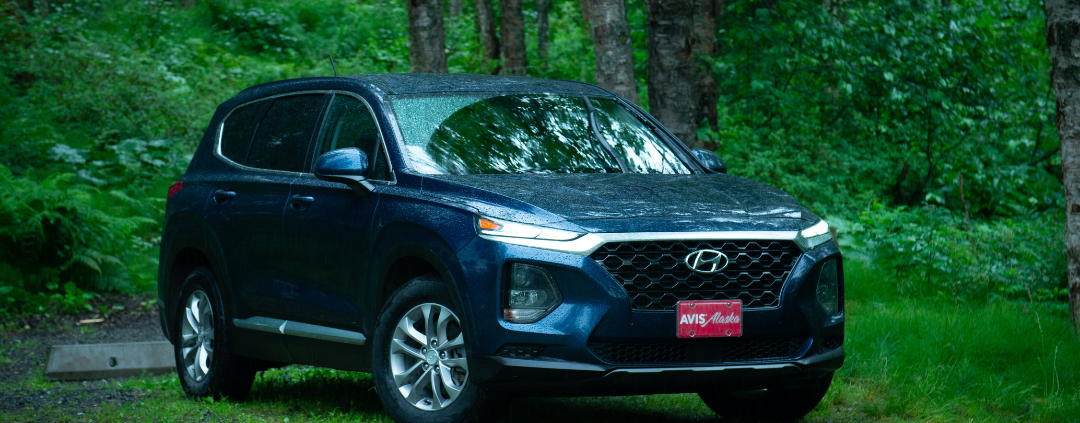 rental car parked in the woods